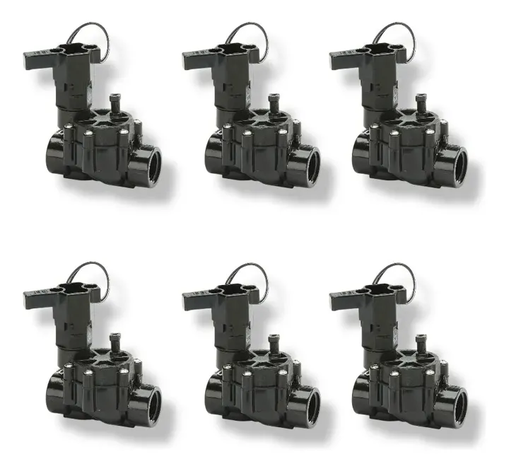 Pack6 Válvula Eléctrica 1 Control De Flujo 100dvf Rain Bird, foto real del producto
